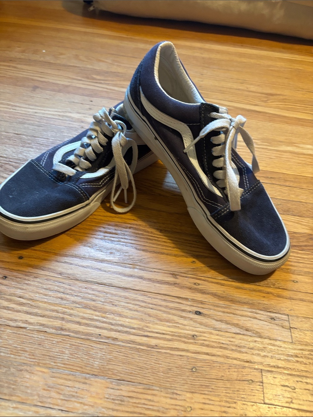 Vans Low-Top Canvas Sneakers in Navy and White